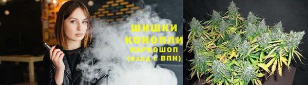 амф Вяземский