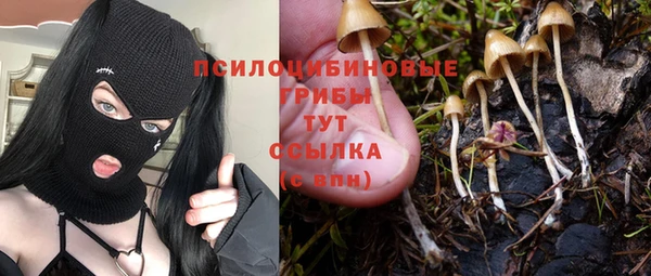 амф Волосово