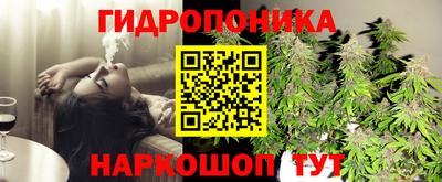 гашик Мариинск