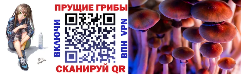 Галлюциногенные грибы MAGIC MUSHROOMS  Зеленокумск 