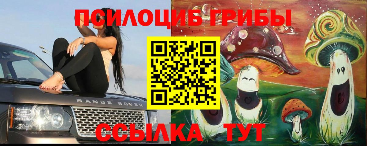Зеленокумск  Галлюциногенные грибы прущие грибы  купить   Вход с VPN 